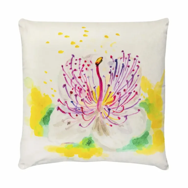 Cuscino in velluto con disegno ad acquerello di un fiore di cappero