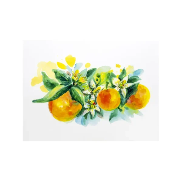 Litografia con disegno ad acquerello di arance