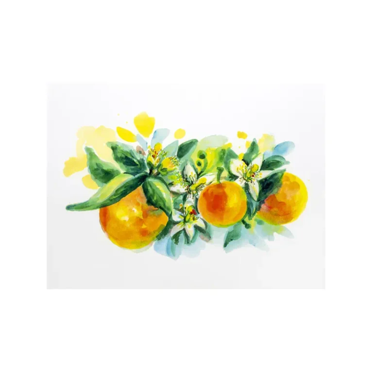 Litografia con disegno ad acquerello di arance