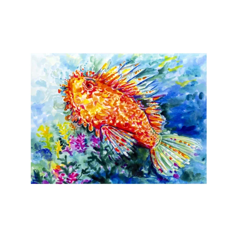 Litografia con disegno ad acquerello di uno scorfano