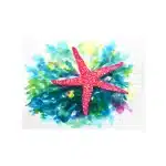 Litografia Stella Marina