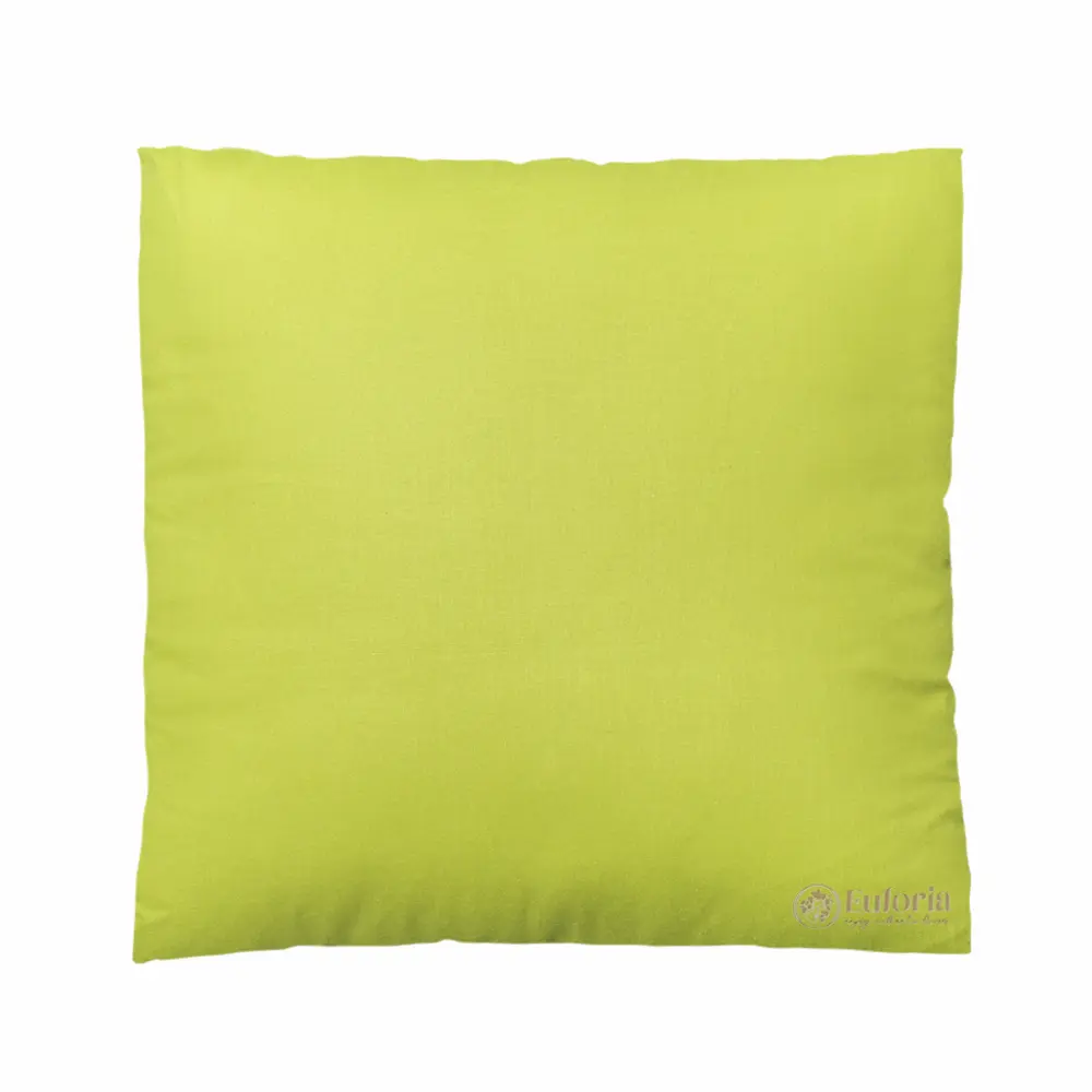 Cushion Prickly Pear - Image 3