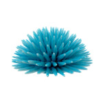 Riccio Azzurro Cielo L in Ceramica