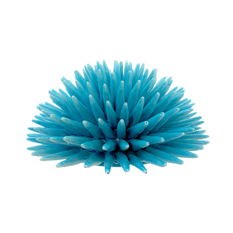 Riccio Azzurro Cielo L in Ceramica