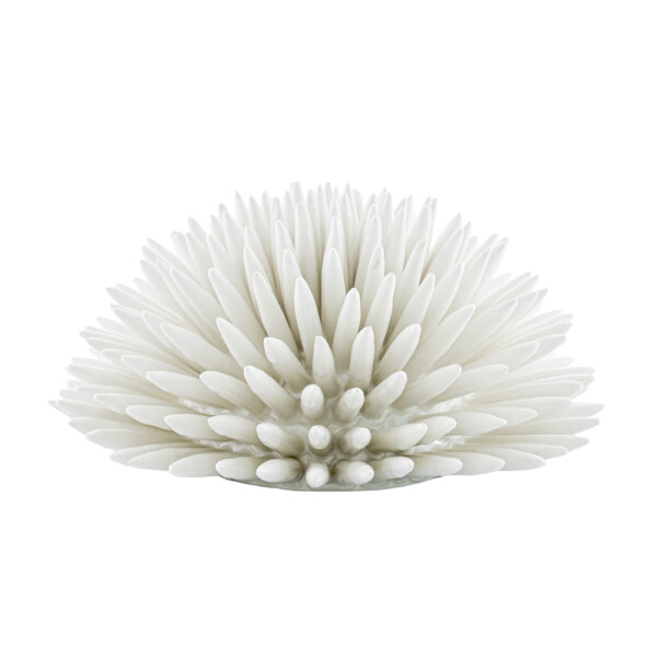Sea Urchin Pure White L