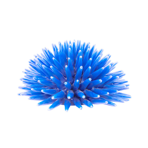 Sea Urchin Royal Blue L
