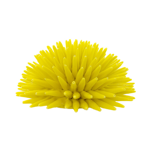 Sea Urchin Cadmium Yellow L
