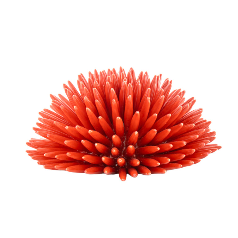 Riccio Rosso Corallo L in Ceramica