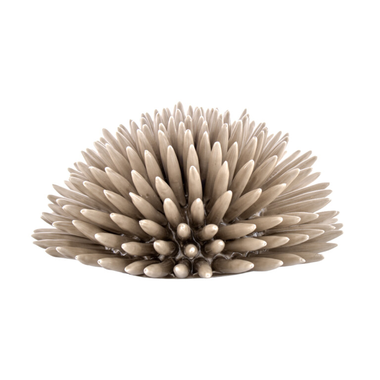 Riccio Tortora Sabbiato L in Ceramica